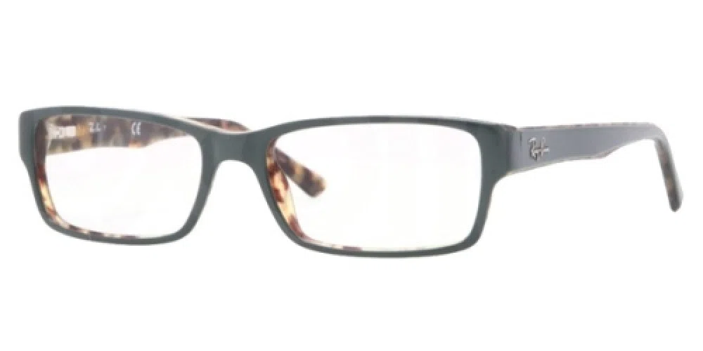 Ray-Ban 5169 Eyeglasses - view 16